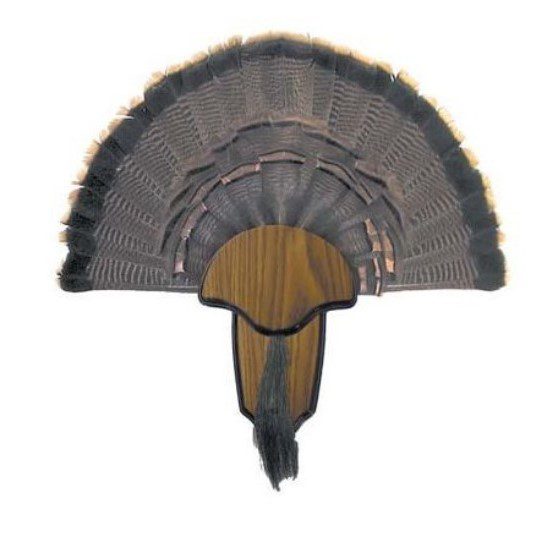 HS Strut Turkey Tail & Beard Mounting Kit