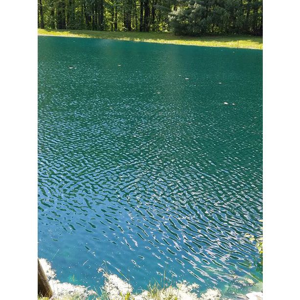 Crystal Blue - Ocean Blue Pond Dye - 1 Gallon