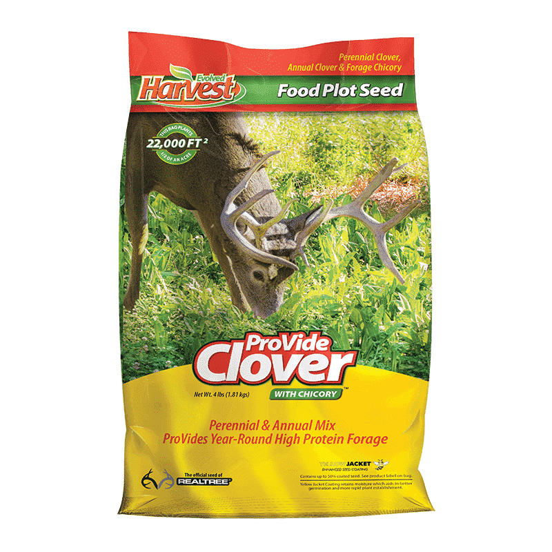 Provide Clover With Chicory - 2Lb