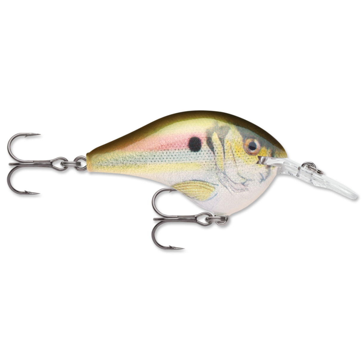 Rapala DT Dives-To Series