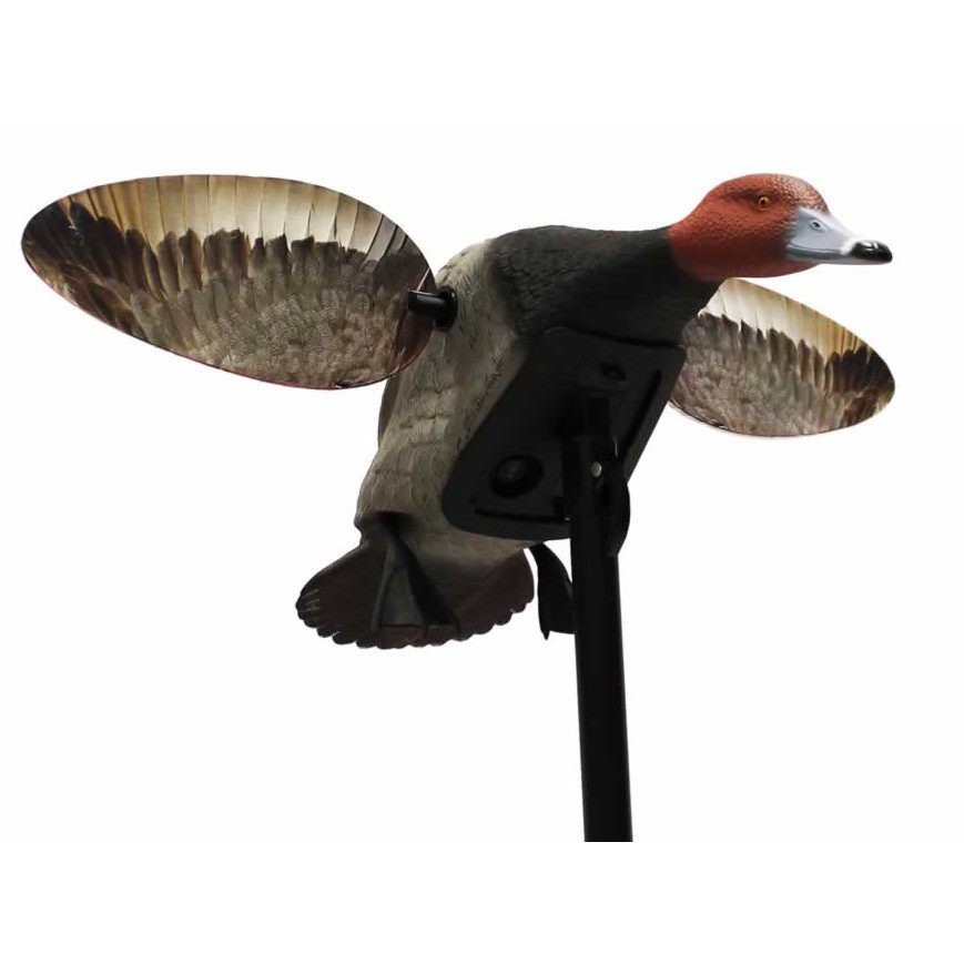 Mojo Es Diver Redhead