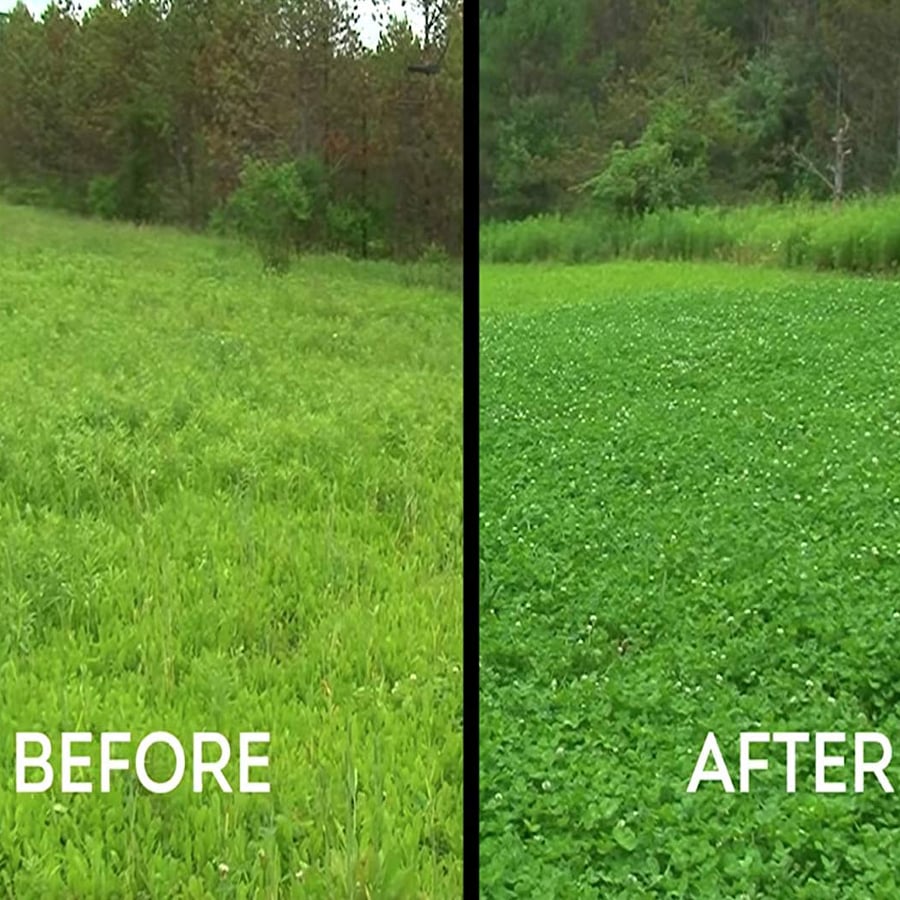 Slay Herbicide - Broadleaf Control - Treats Up To 1 Acre