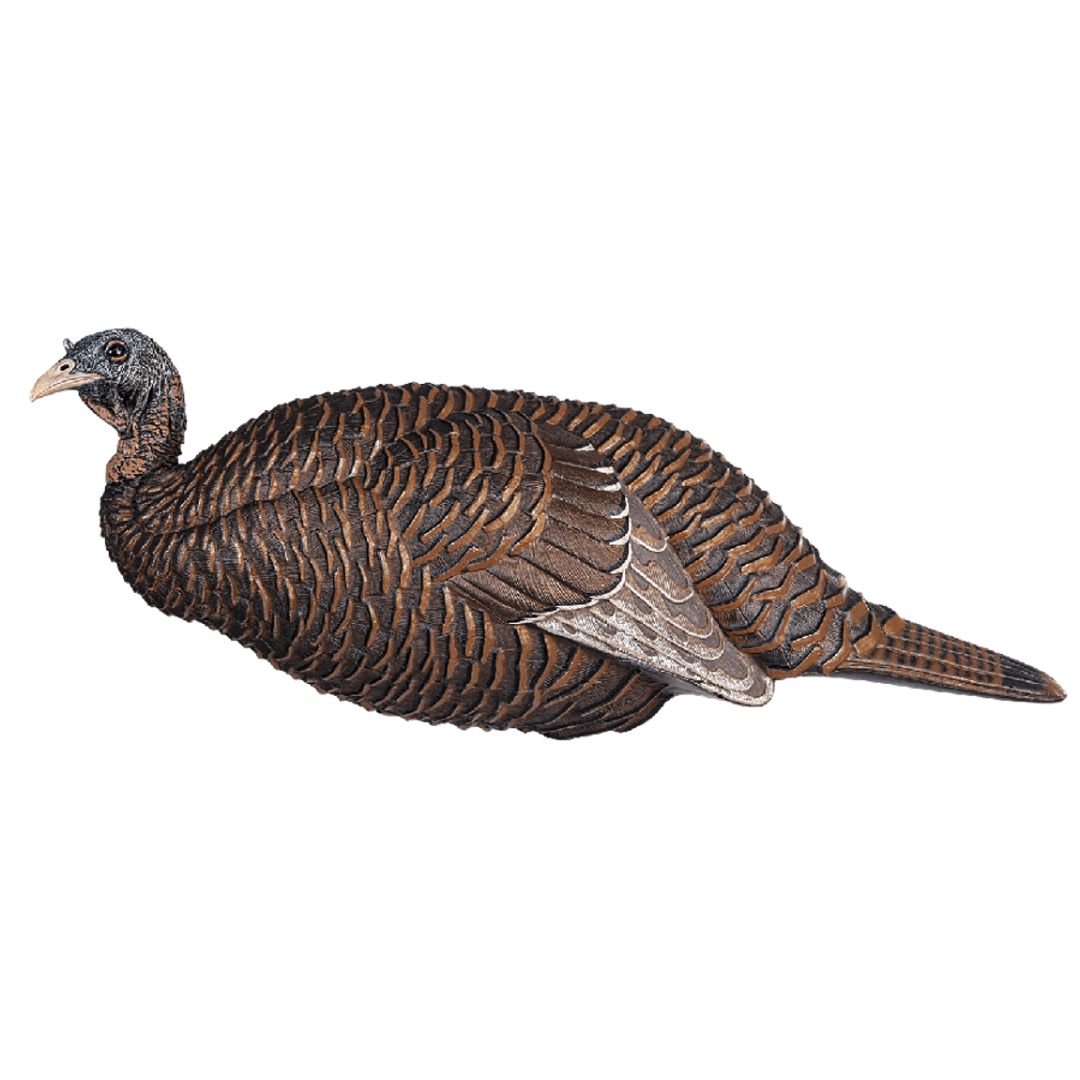 Flextone Thunder Chick Breeder Turkey Decoy