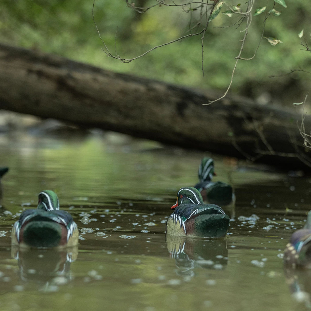 Avian-X Topflight Wood Ducks 6 Floating Decoys