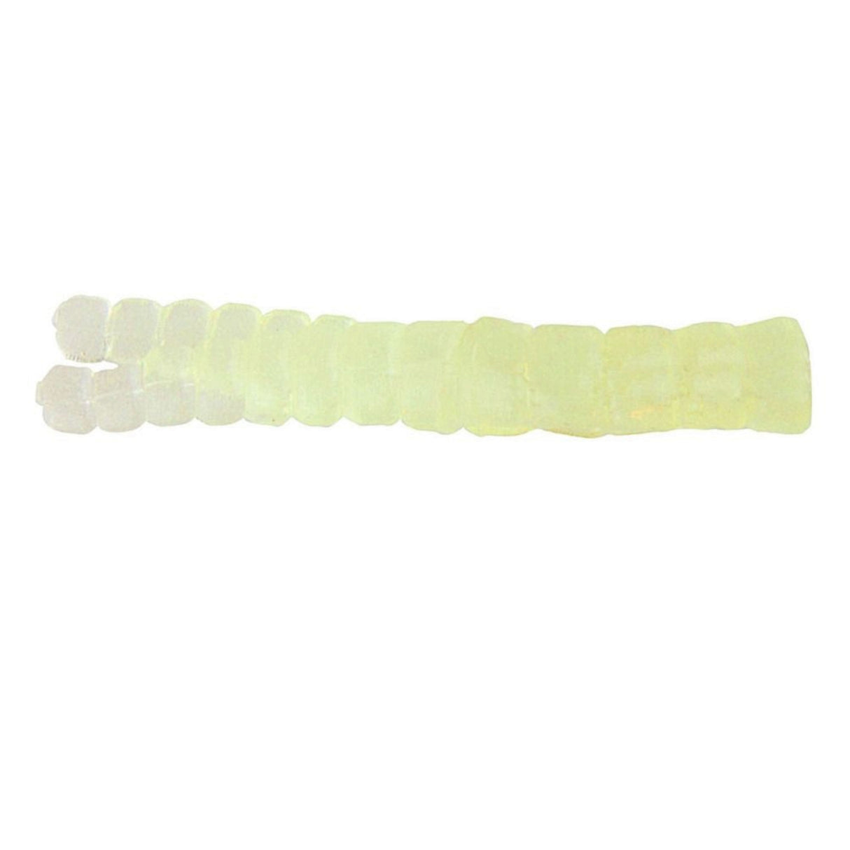 Leland Trout Magnets 50pc