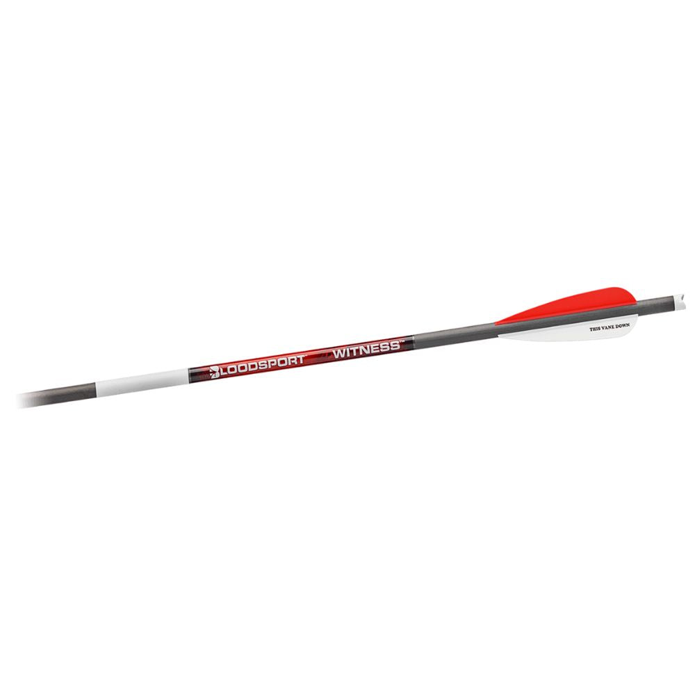 GSM Witness 20" Crossbow Arrow (6 PACK)