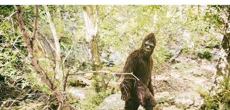 Squatch Gear