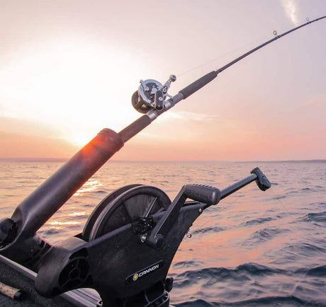 Downriggers & Accessories