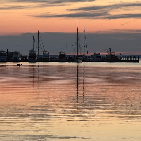 Marine Clearance