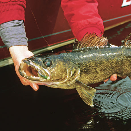 Detroit River Jigging