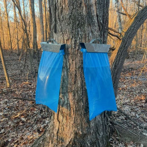 Maple Syrup Supplies