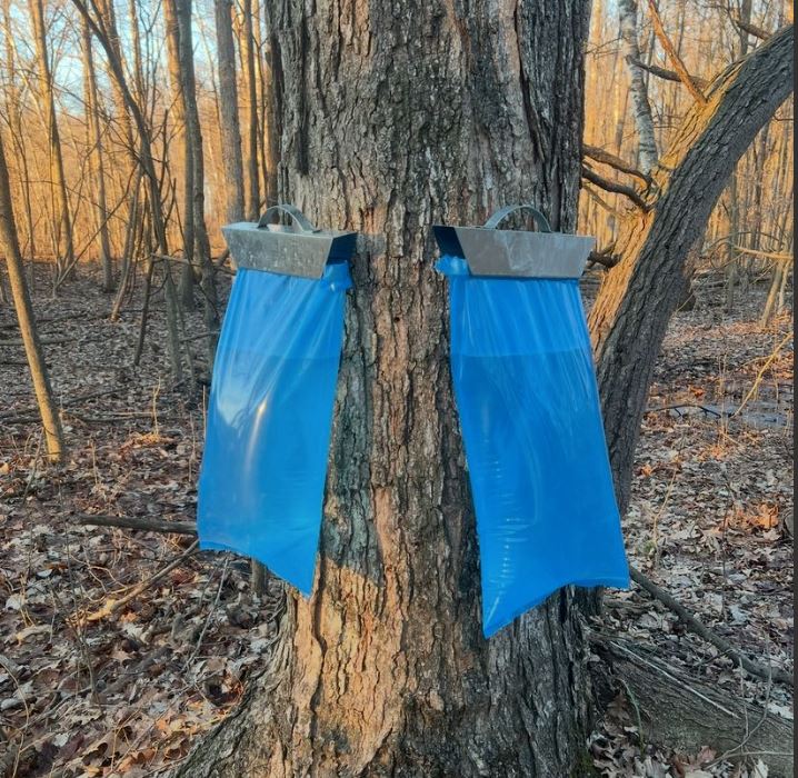 Maple Syrup Supplies