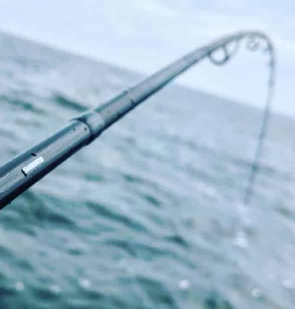 Trolling Rods – Northwoods Wholesale Outlet