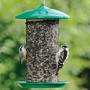 Bird Feeders/Seed