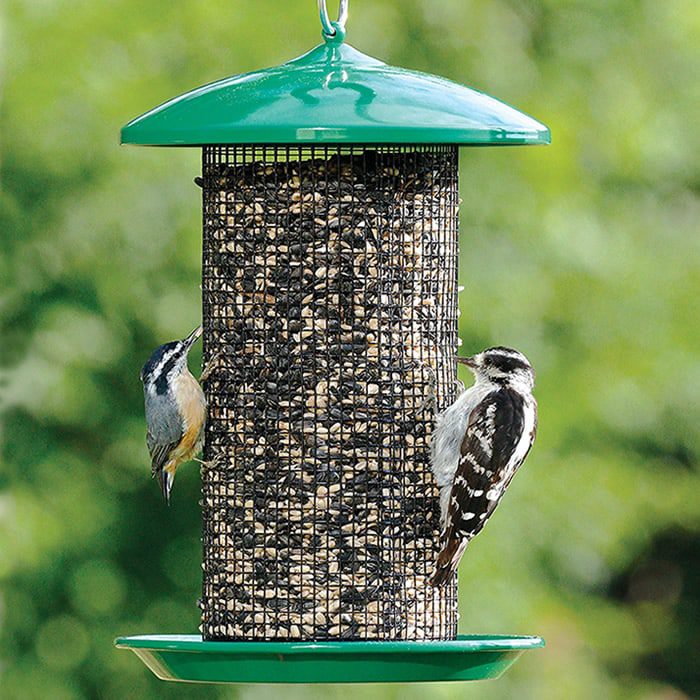 Bird Feeders/Seed