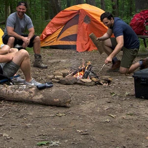 Insect & Pest Control