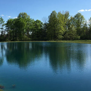 Pond Chemicals & Supplies