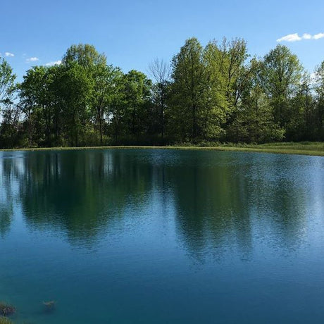 Pond Chemicals & Supplies