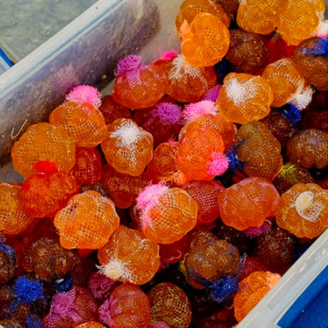 Spawn Tying Supplies