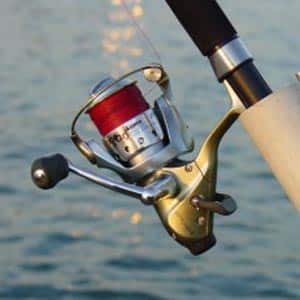 Spinning Reels