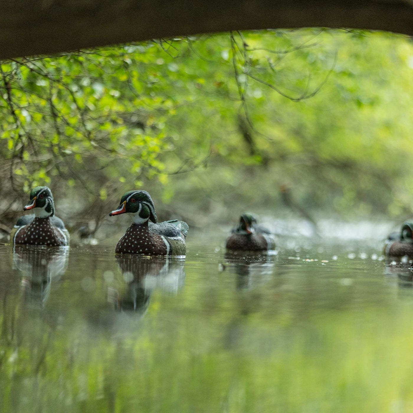 Waterfowl Hunting