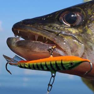 Trolling Lures