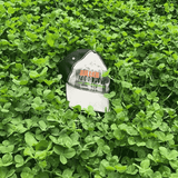 Resurrection Clover