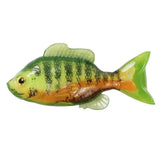Live Target 3.3” Sunfish Unrigged - Chartreuse / Orange 