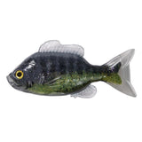 Live Target 3.3” Sunfish Unrigged - Black / Green