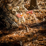 Wildlife Research Golden Scrape (Scent Reflex Technology) Spray Can