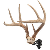 Allen EZ Mount Rack Bracket - Black 7225