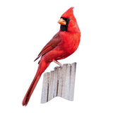 I AM CARDINAL 300 Piece Jigsaw Puzzle 6007