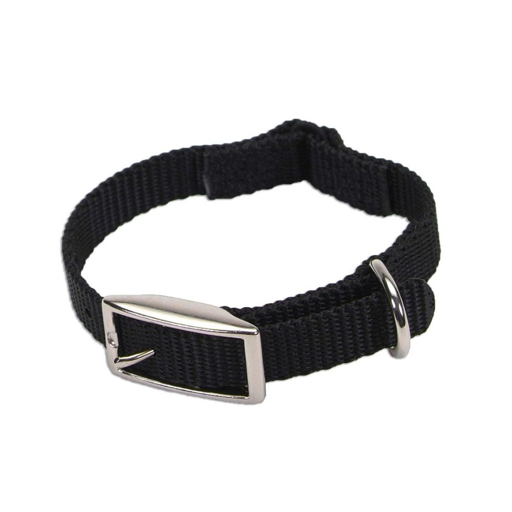 Coastal 10" Black Cat Collar