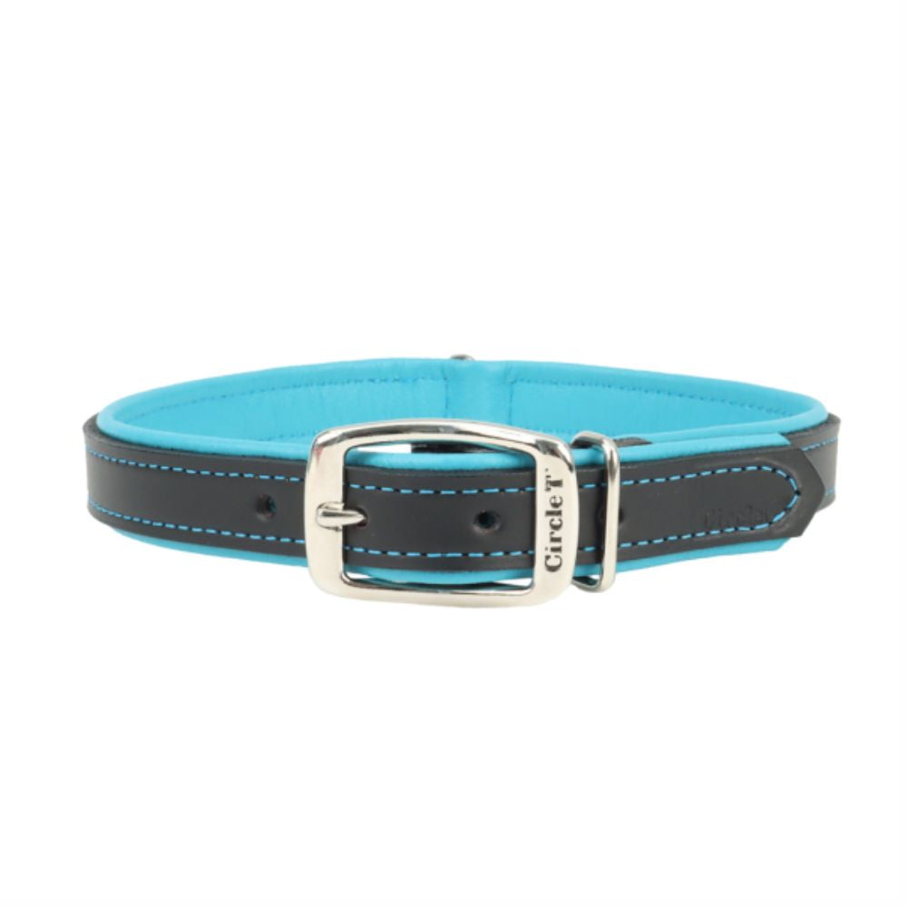 Circle T Leather Collar, Blk/Teal, S 14"