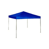 WFS Canopy Tent 10X10