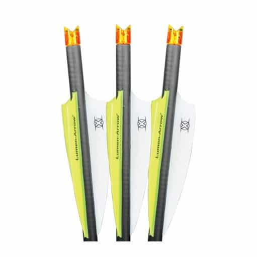 BECC223 (22" LumenArrow equipped with 2" Bohning Blazer vanes and HD Orange Cresc...