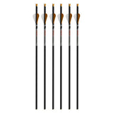 Ravin R500  .001 400 Grain 6pk Carbon Bolts