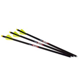 Excalibur Quill Set Of 6 16.5" Carbon Bolts