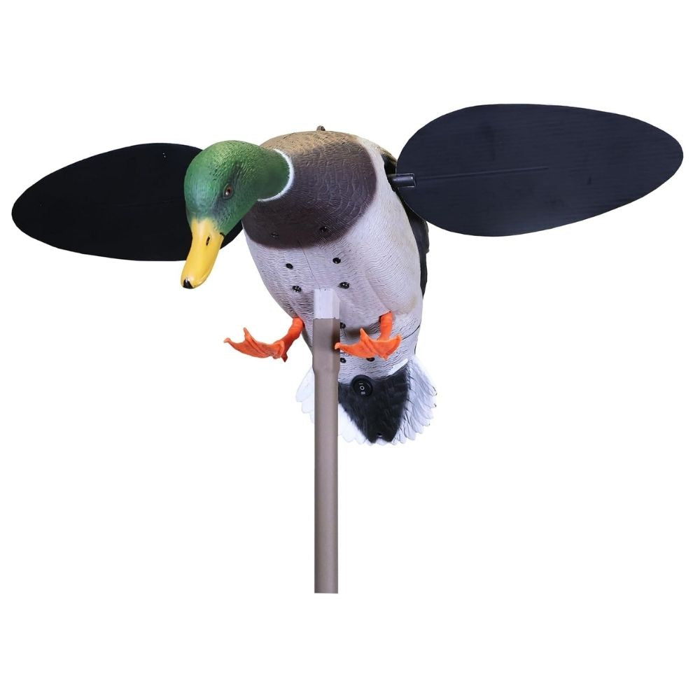 MOJO Baby 2.0 Drake Decoy