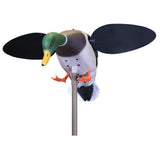MOJO Baby 2.0 Drake Decoy