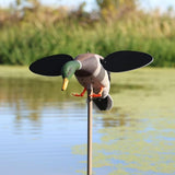 MOJO Baby 2.0 Drake Decoy