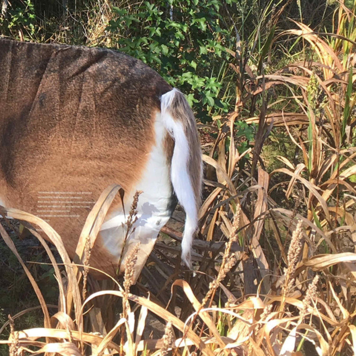 Montana Decoy Teaser Tall 0074