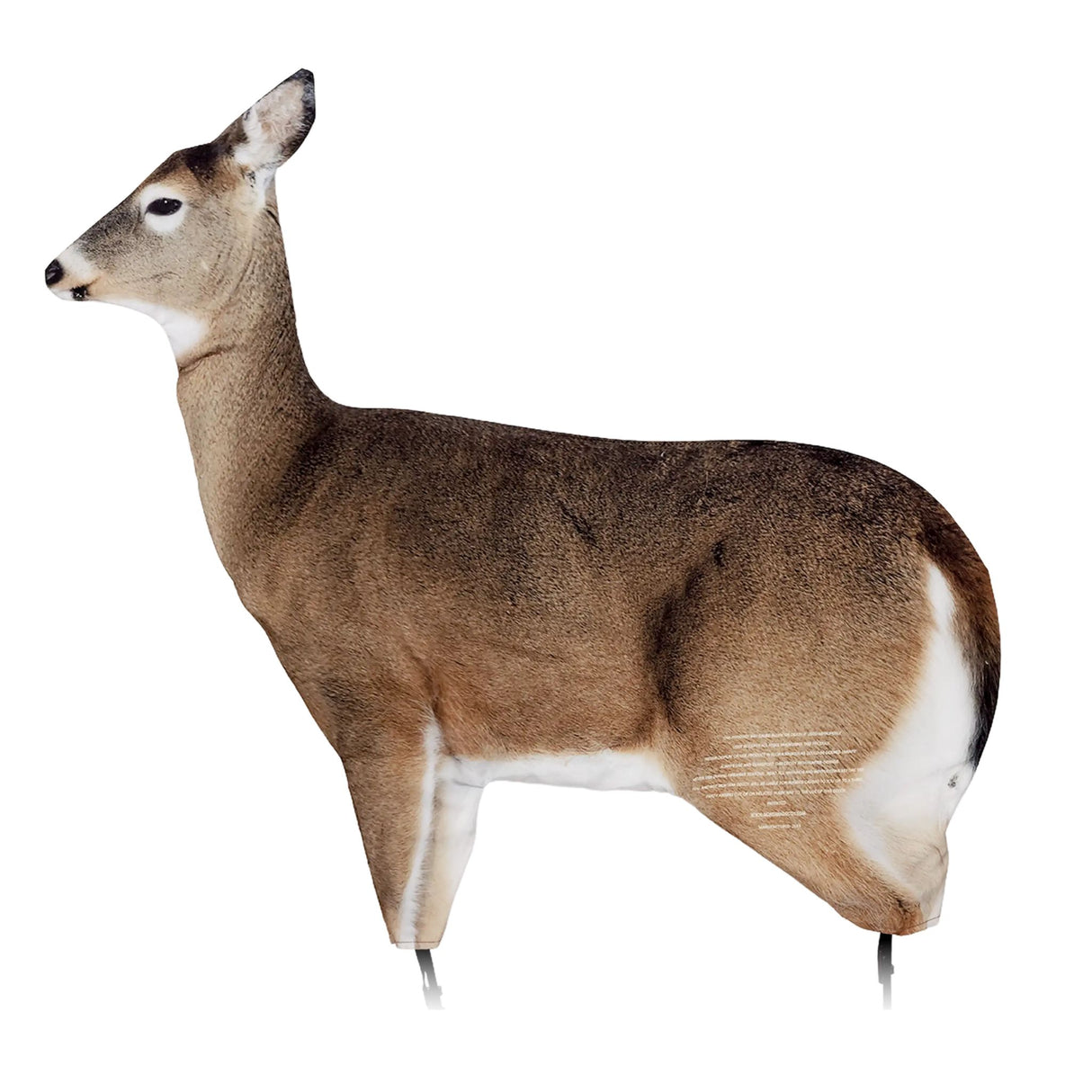 Montana Decoy Dream Team 0030