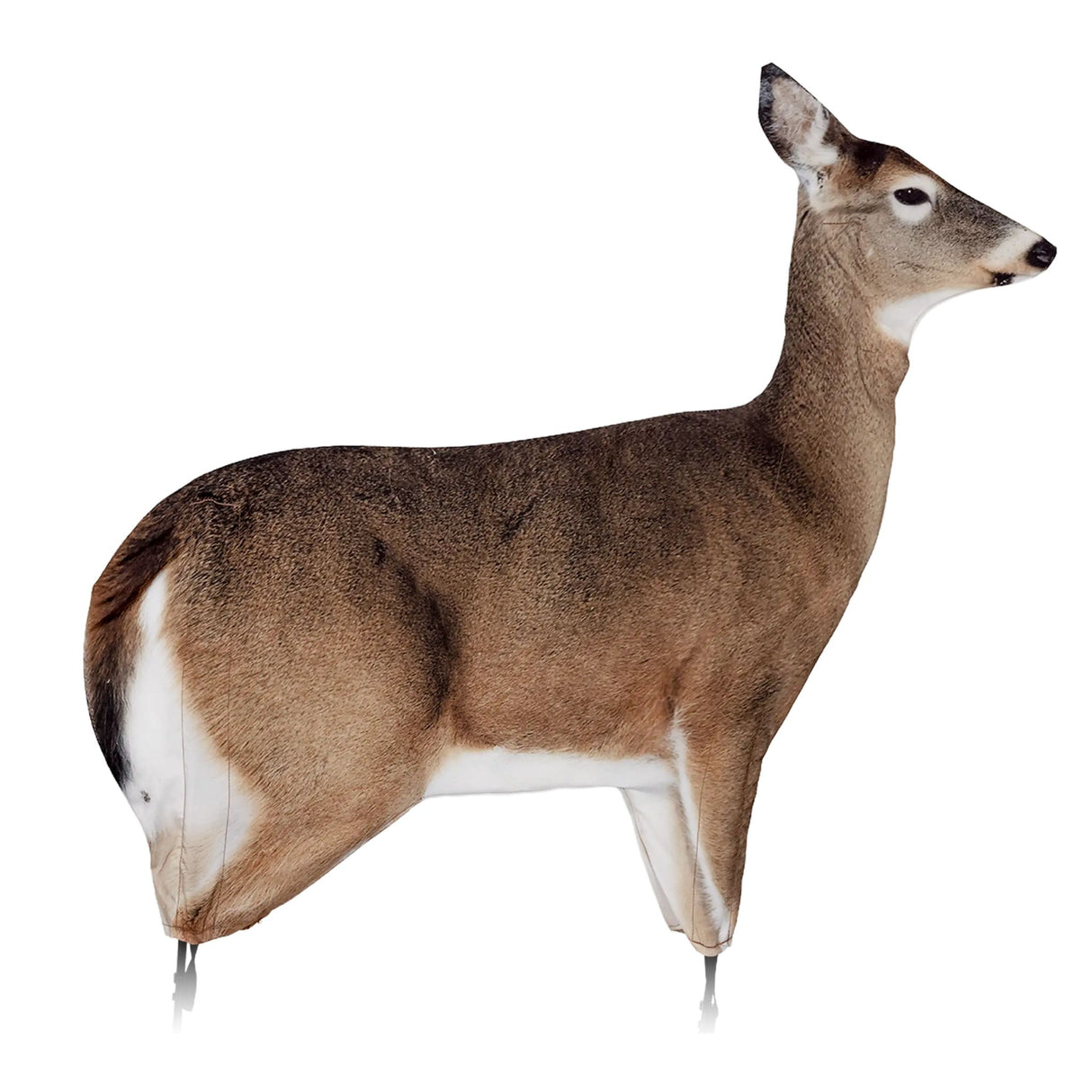 Montana Decoy Dream Team 0030
