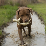 Browning Antler Toy