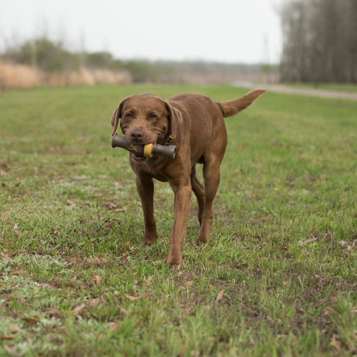 Browning Duck Call Squeaker Chew Dog Toy Teak Brown