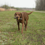 Browning Duck Call Squeaker Chew Dog Toy Teak Brown