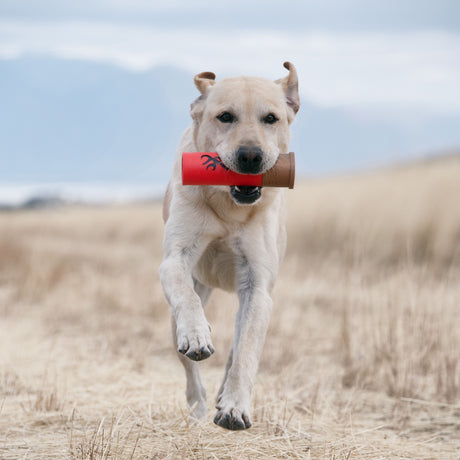 Browning Shot Shell Chew Toy Red