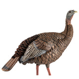 Avian-X HDR Hen Decoy AVX-AVX8106