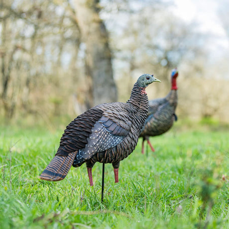 Avian-X HDR Hen Decoy AVX-AVX8106
